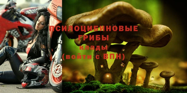 таблы Алексин