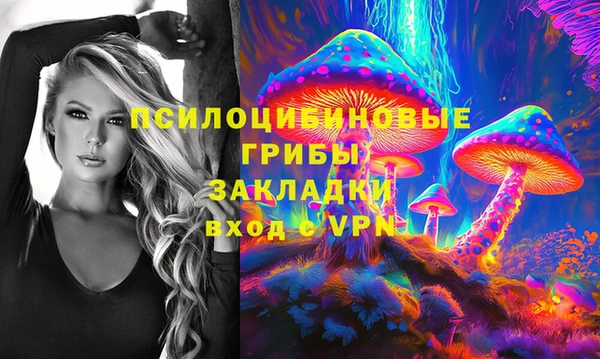 дмт Алзамай