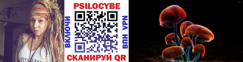 цена наркотик  Камышин  Галлюциногенные грибы Psilocybe 