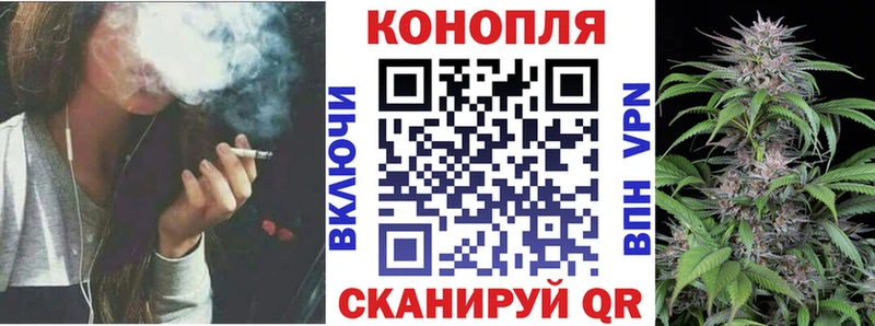 Канабис сатива hydra ССЫЛКА Камышин как найти наркотики